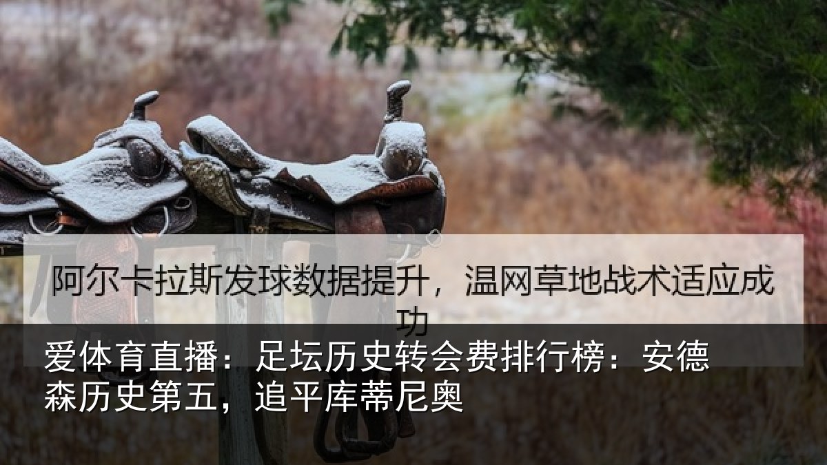 爱体育直播:足坛相关情况:安德相关情况蒂尼奥